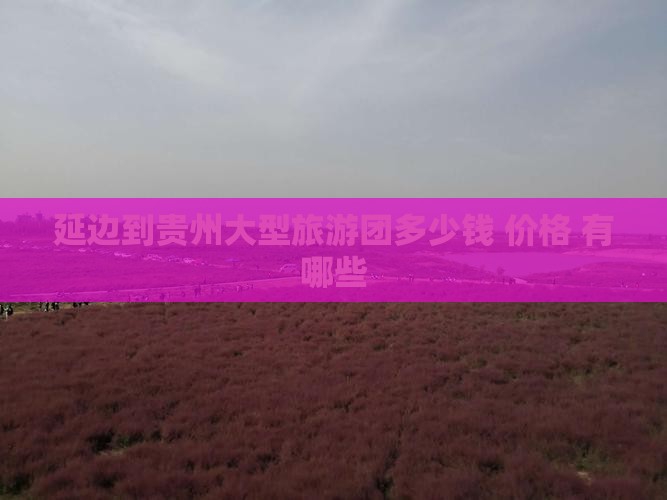 延边到贵州大型旅游团