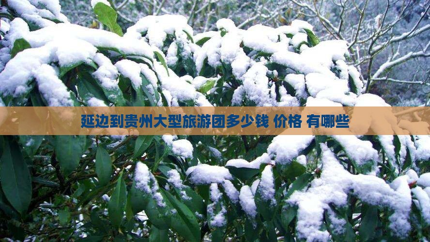 延边到贵州大型旅游团