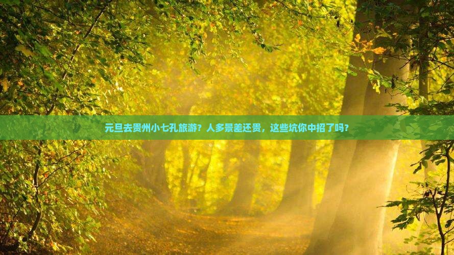 元旦去贵州小七孔旅游