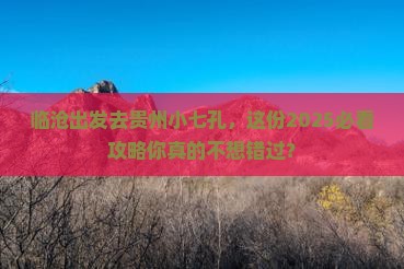 临沧去贵州小七孔大型旅游团 临沧去贵州小七孔大型旅游团