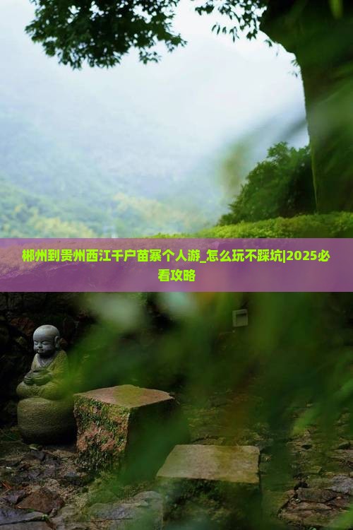 郴州到贵州西江千户苗寨个人游