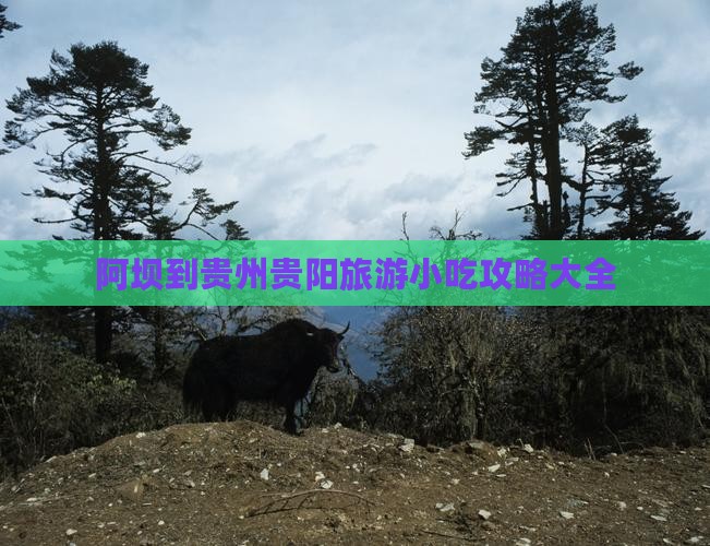 阿坝到贵州贵阳旅游小吃