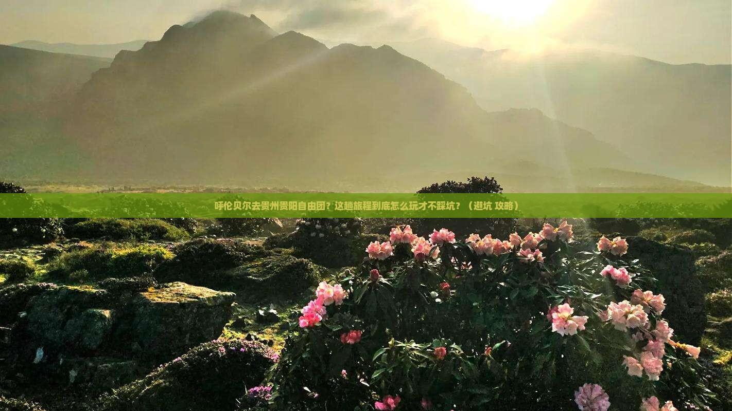 呼伦贝尔去贵州贵阳自由团