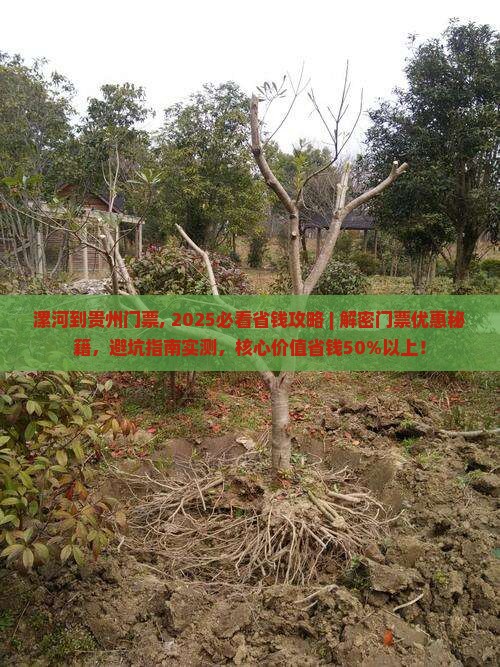 漯河到贵州门票