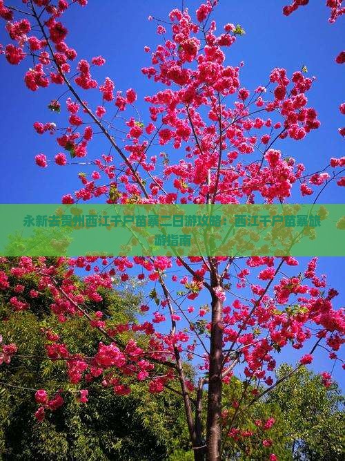 永新去贵州西江千户苗寨二日游