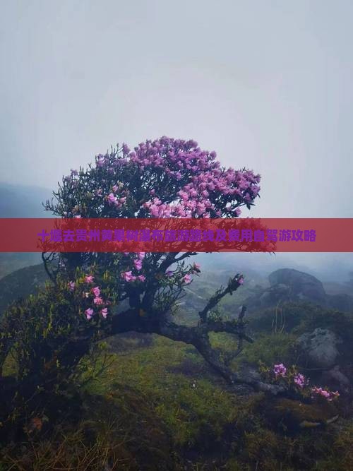 十堰去贵州黄果树瀑布旅游