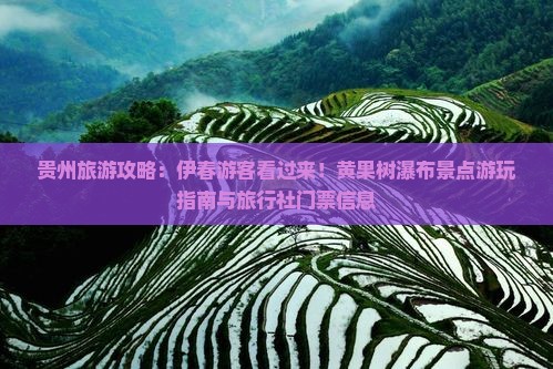 贵州旅游攻略：伊春游客看过来！黄果树瀑布景点游玩指南与旅行社门票信息