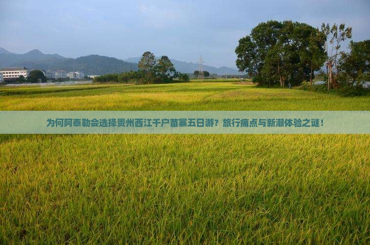 为何阿泰勒会选择贵州西江千户苗寨五日游？旅行痛点与新潮体验之谜！