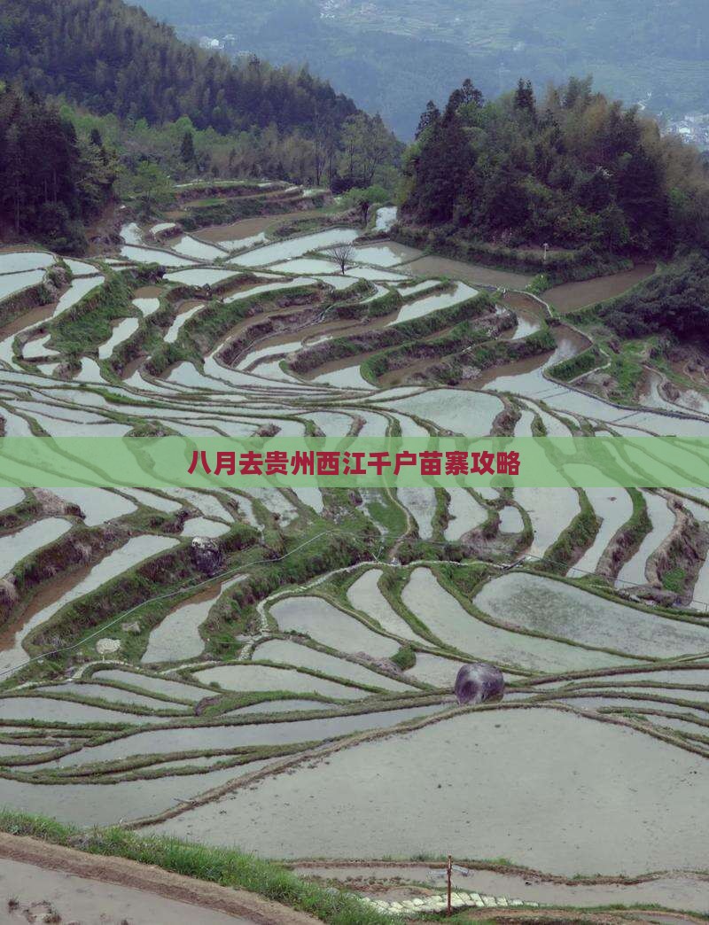 八月去贵州西江千户苗寨攻略