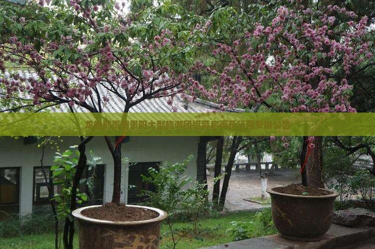 龙岩到贵州贵阳大型旅游团招募启事及行程安排公告
