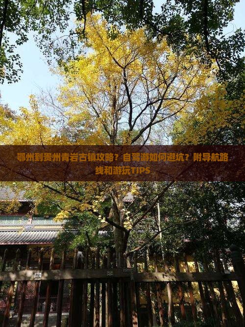 鄂州到贵州青岩古镇攻略？自驾游如何避坑？附导航路线和游玩TIPS