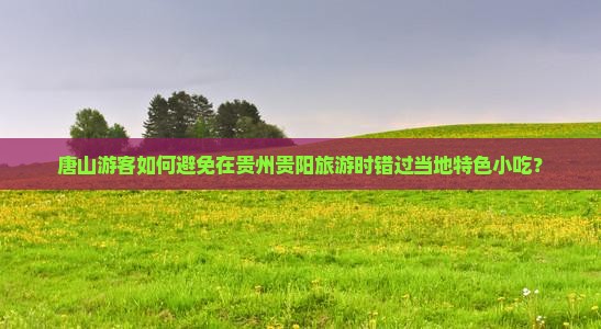 唐山游客如何避免在贵州贵阳旅游时错过当地特色小吃？
