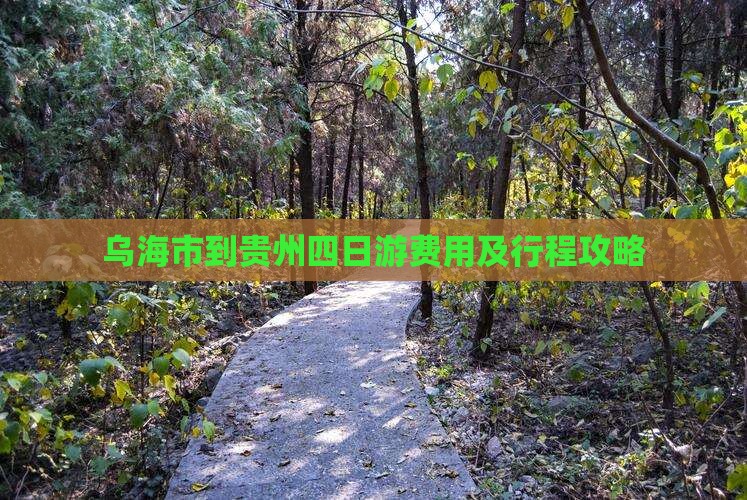 乌海市到贵州四日游费用及行程攻略