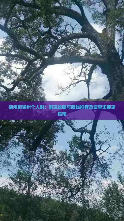 德州到贵州个人游：游玩攻略与路线推荐及票查询距离指南