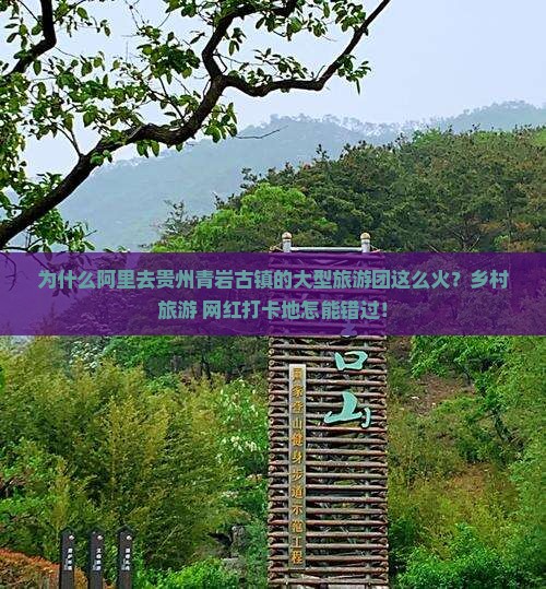 为什么阿里去贵州青岩古镇的大型旅游团这么火？乡村旅游+网红打卡地怎能错过！