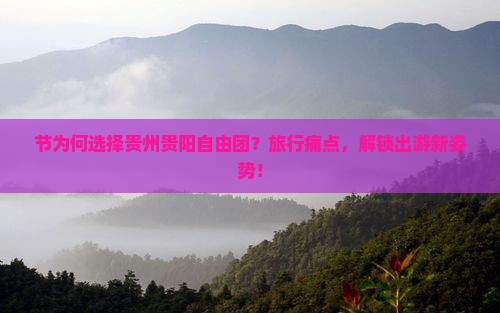 节为何选择贵州贵阳自由团？旅行痛点，解锁出游新姿势！