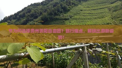 节为何选择贵州贵阳自由团？旅行痛点，解锁出游新姿势！
