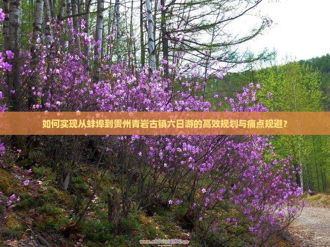 如何实现从蚌埠到贵州青岩古镇六日游的高效规划与痛点规避？