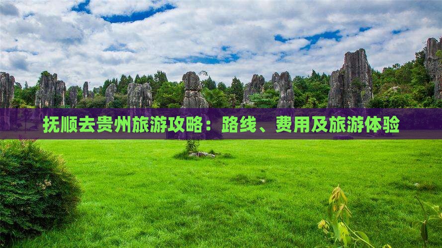 抚顺去贵州旅游攻略：路线、费用及旅游体验