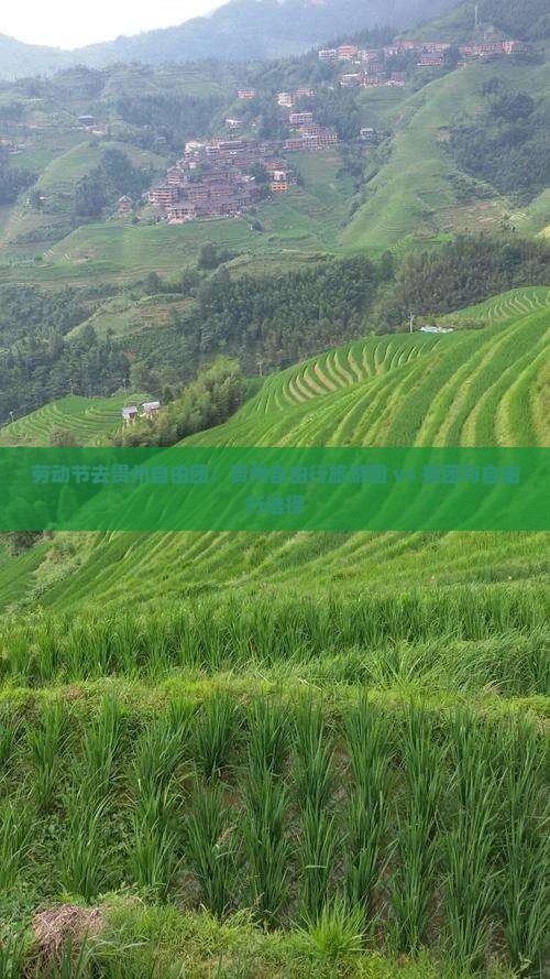 劳动节去贵州自由团：贵州自由行旅游团 vs 报团与自由行选择