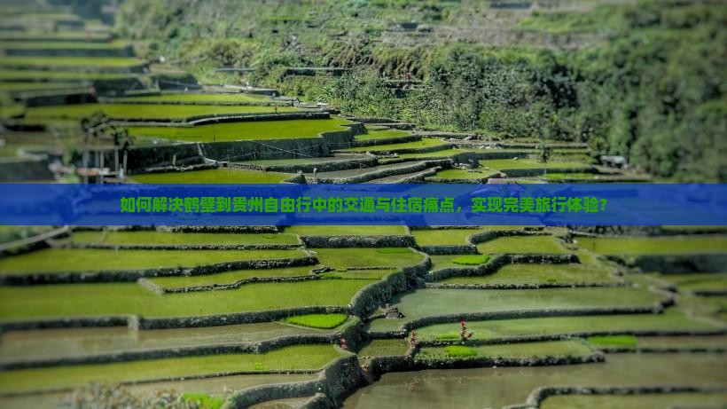 如何解决鹤壁到贵州自由行中的交通与住宿痛点，实现完美旅行体验？