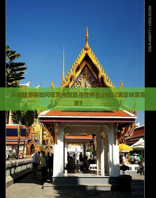 兴安盟游客如何在贵州贵阳寻找特色小吃以满足味蕾需求？