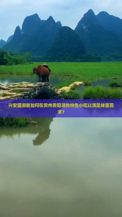 兴安盟游客如何在贵州贵阳寻找特色小吃以满足味蕾需求？