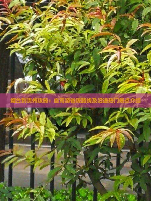 烟台到贵州攻略：自驾游省钱路线及沿途热门景点介绍
