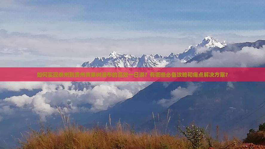如何实现泰州到贵州黄果树瀑布的高效一日游？有哪些必备攻略和痛点解决方案？