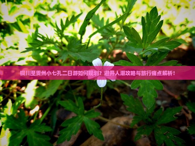 铜川至贵州小七孔二日游如何规划？避开人潮攻略与旅行痛点解析！