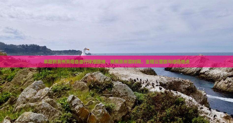 阜阳到贵州贵阳自由行详细路线、费用及所需时间，全程公里数与途径地点