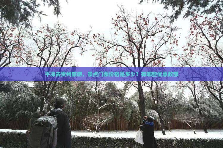 平凉去贵州旅游，景点门票价格是多少？有哪些优惠政部