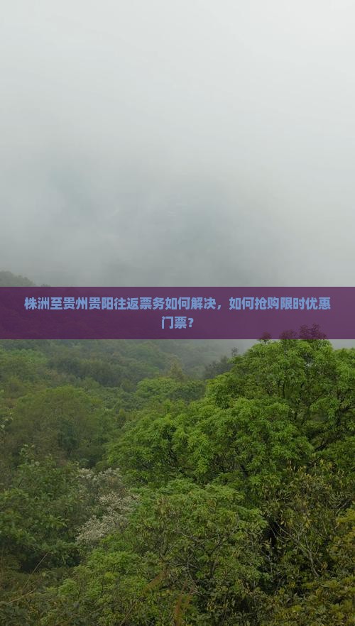 株洲至贵州贵阳往返票务如何解决，如何抢购限时优惠门票？