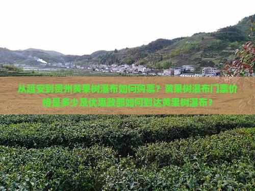 从延安到贵州黄果树瀑布如何购票？黄果树瀑布门票价格是多少及优惠政部如何到达黄果树瀑布？