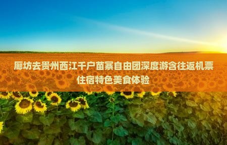 廊坊去贵州西江千户苗寨自由团深度游含往返机票住宿特色美食体验