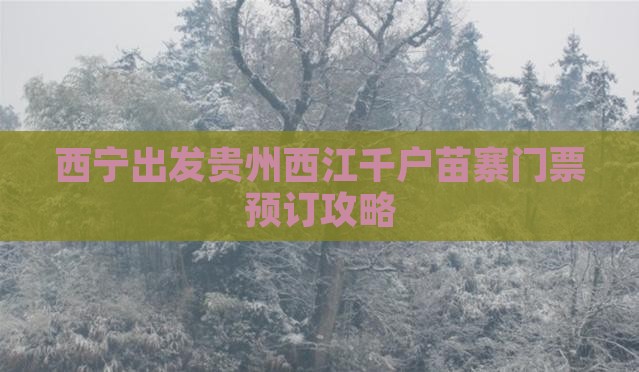 西宁出发贵州西江千户苗寨门票预订攻略 西宁出发贵州西江千户苗寨门票预订攻略