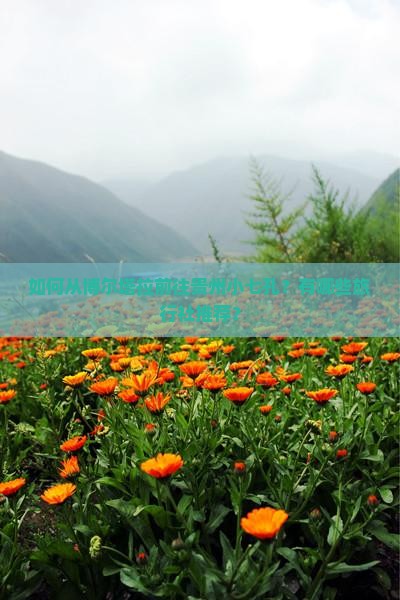 如何从博尔塔拉前往贵州小七孔？有哪些旅行社推荐？
