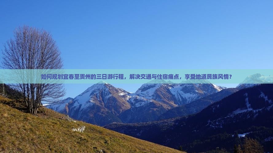 如何规划宜春至贵州的三日游行程，解决交通与住宿痛点，享受地道民族风情？