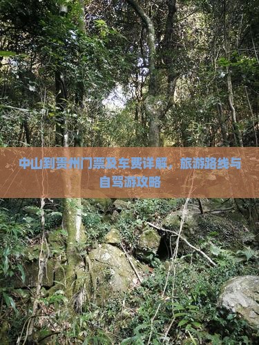 中山到贵州门票及车费详解，旅游路线与自驾游攻略