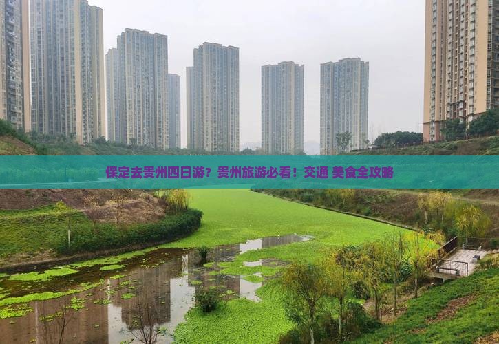 保定去贵州四日游？贵州旅游必看！交通+美食全攻略