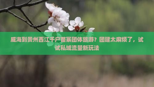威海到贵州西江千户苗寨团体旅游？团建太麻烦了，试试私域流量新玩法