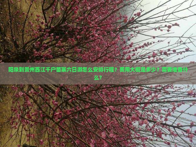 阳泉到贵州西江千户苗寨六日游怎么安排行程？费用大概是多少？需要准备什么？