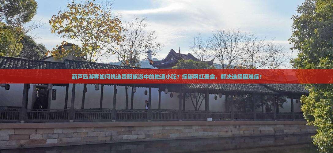 葫芦岛游客如何挑选贵阳旅游中的地道小吃？探秘网红美食，解决选择困难症！