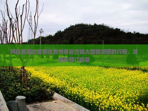 阿拉善盟出发前往贵州青岩古镇大型旅游团的行程、攻略及预订信息