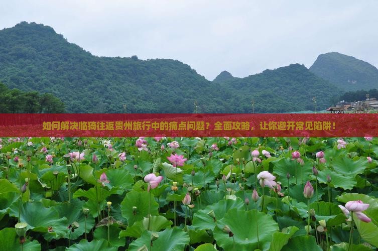 如何解决临猗往返贵州旅行中的痛点问题？全面攻略，让你避开常见陷阱！