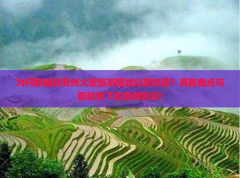为何那曲到贵州大型旅游团如此受欢迎？游客痛点与新趋势下的旅游热词！