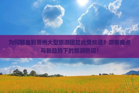 为何那曲到贵州大型旅游团如此受欢迎？游客痛点与新趋势下的旅游热词！
