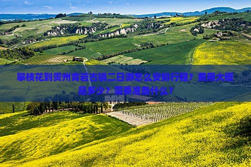 攀枝花到贵州青岩古镇二日游怎么安排行程？费用大概是多少？需要准备什么？