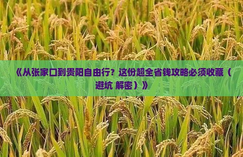 张家口去贵州贵阳自由团