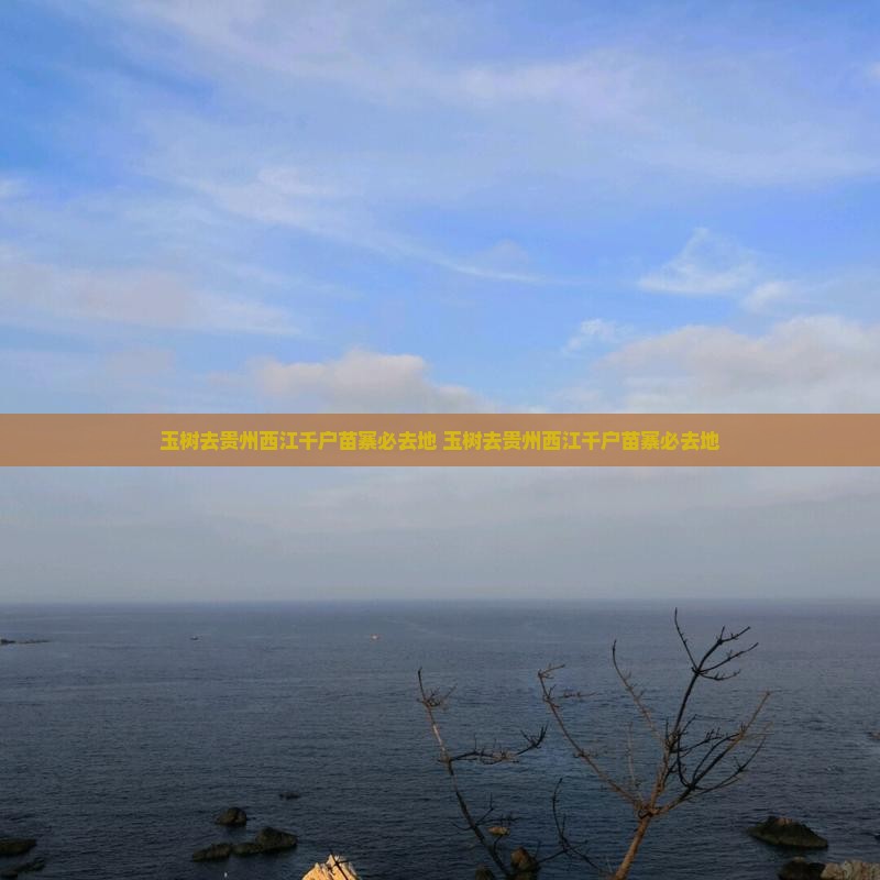 玉树去贵州西江千户苗寨必去地